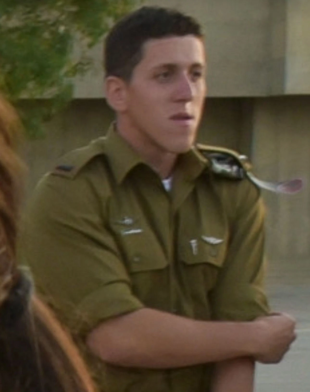 אורי גרליץ