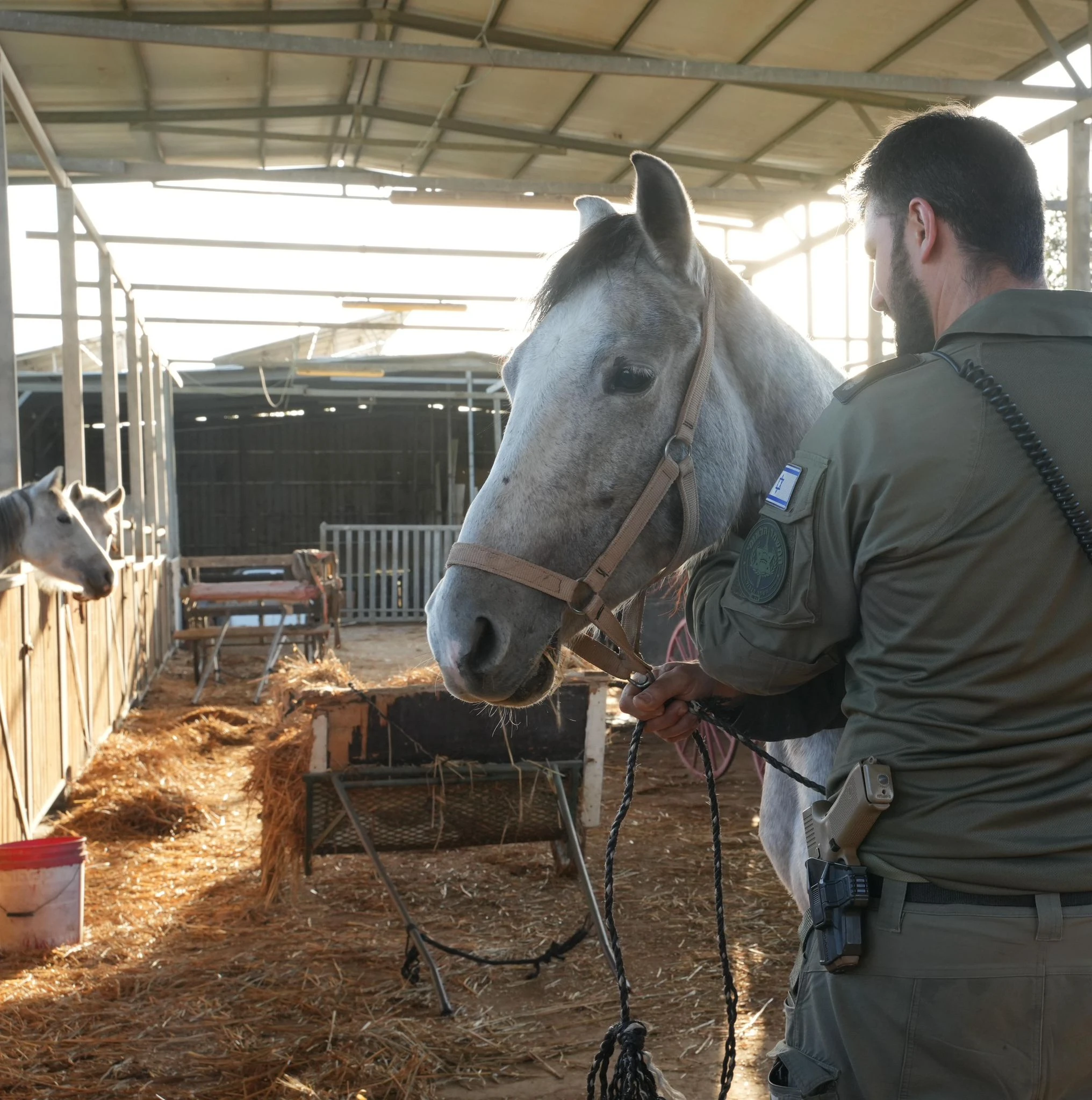 הסוס שנגנב מקלחים