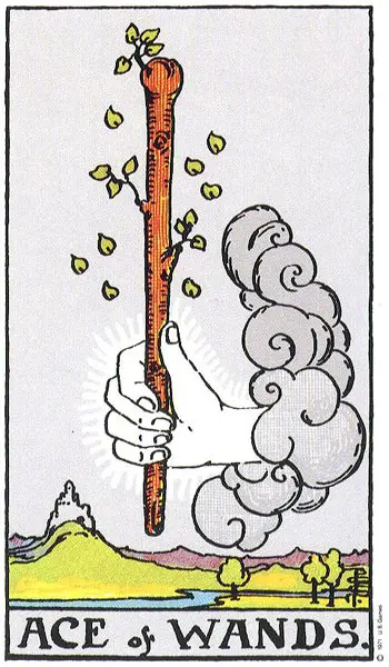 טארוט קלף אס המטות ace of wands