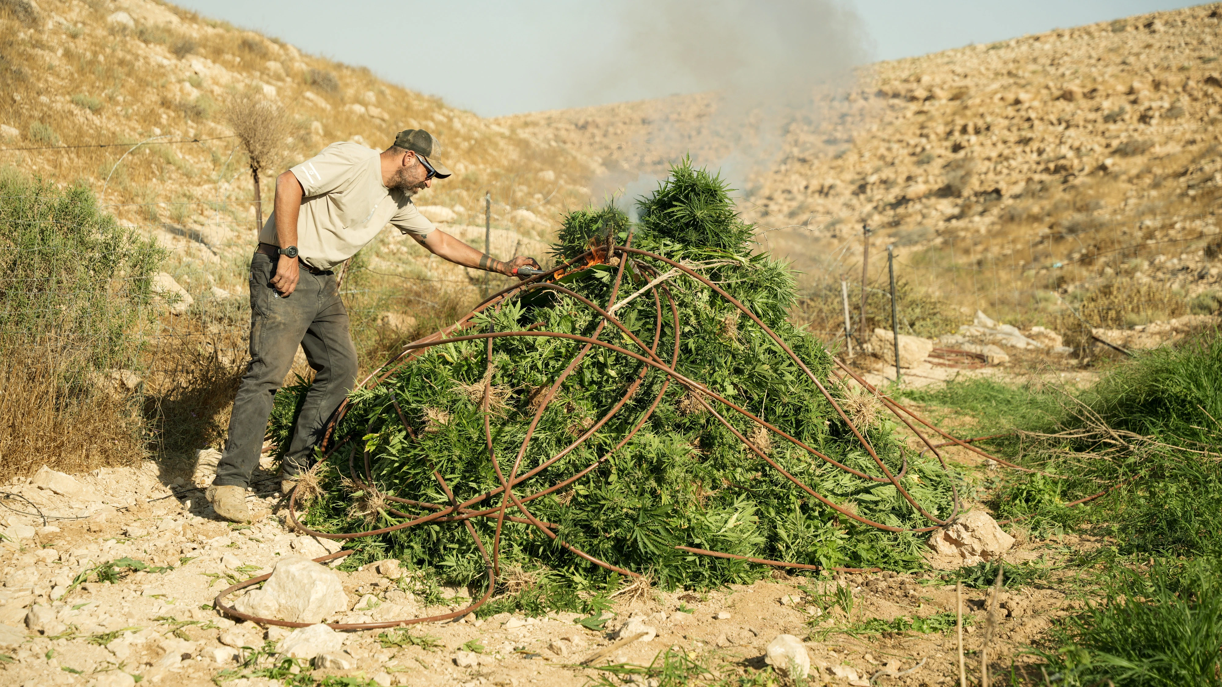 שריפת קנאביס בחממה בשטחי אש באזור שגב שלום