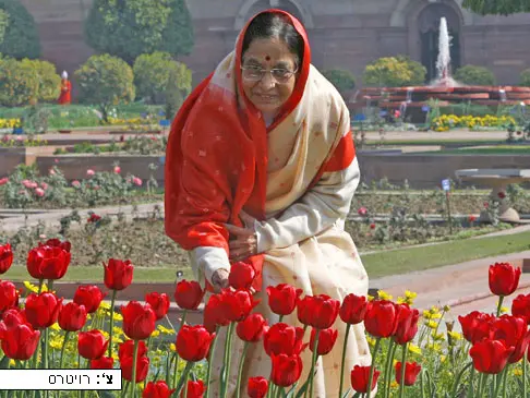 נשיאת הודו פריטבהה פאטיל רוכנת מעל שדה צבעונים