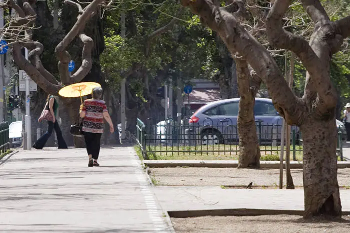 רוח מזרחית חזקה מביאה לירידת הטמפרטורות, ורוח מערבית מעלה את אחוזי הלחות