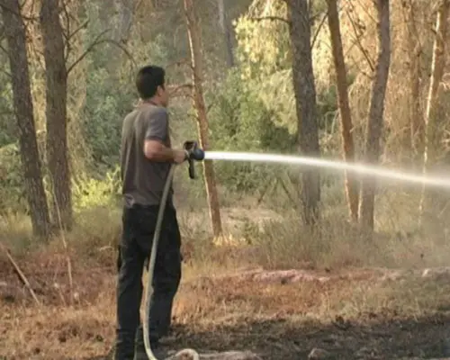 חשד שתלמידים נוספים גרמו לשריפות נוספות בחיפה