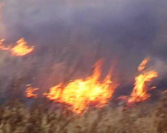 לפני שבוע 10,000 מפגינים שרפו בנייני ממשלה ותחנות משטרה