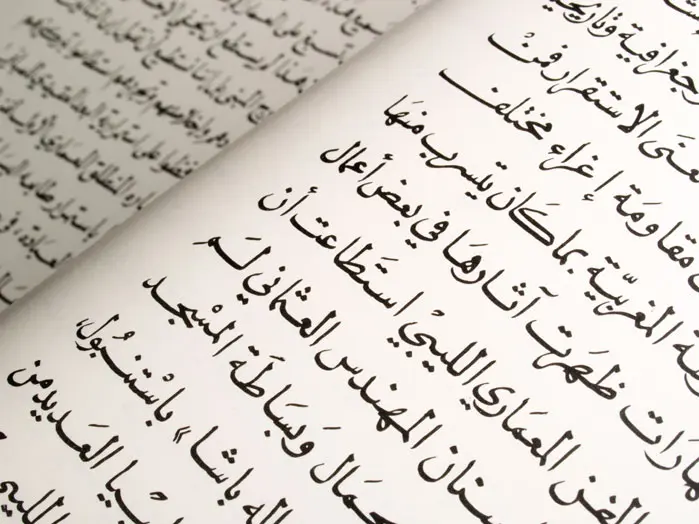 "השפה הערבית היא תנאי הכרחי להשתלבות שלנו באזור"