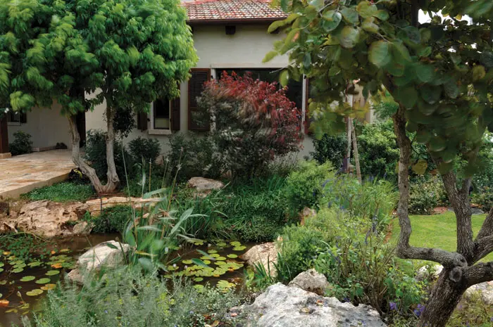 מבט אל עבר הבית