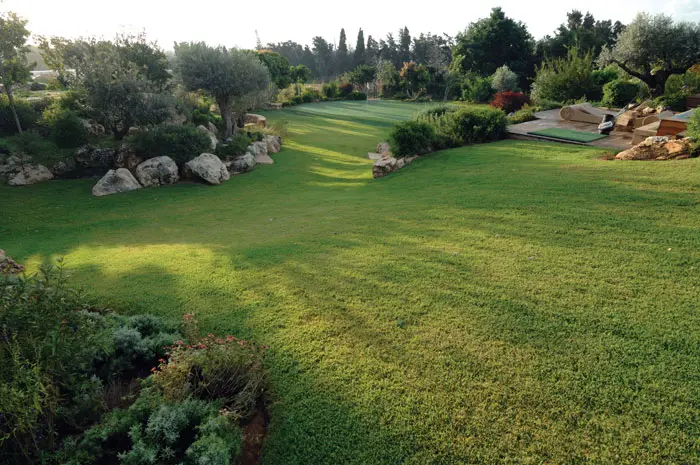 מבט כללי על חלקו האחורי של הגן. למטה חבויה פינת הקומזיץ ומימין הגולף