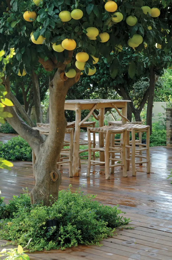 אחד מאזורי הישיבה - מתחת לאשכוליות ברחבה האחורית