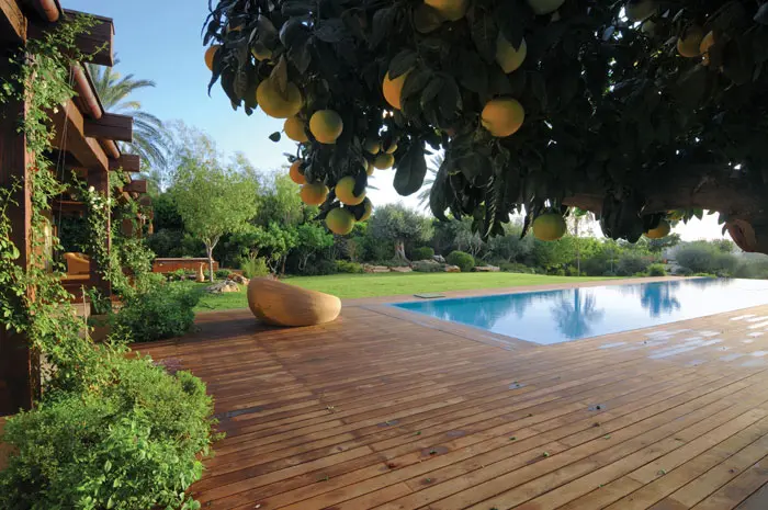 בריכת השחייה ממוקמת בתוך משטח מרוצף דק