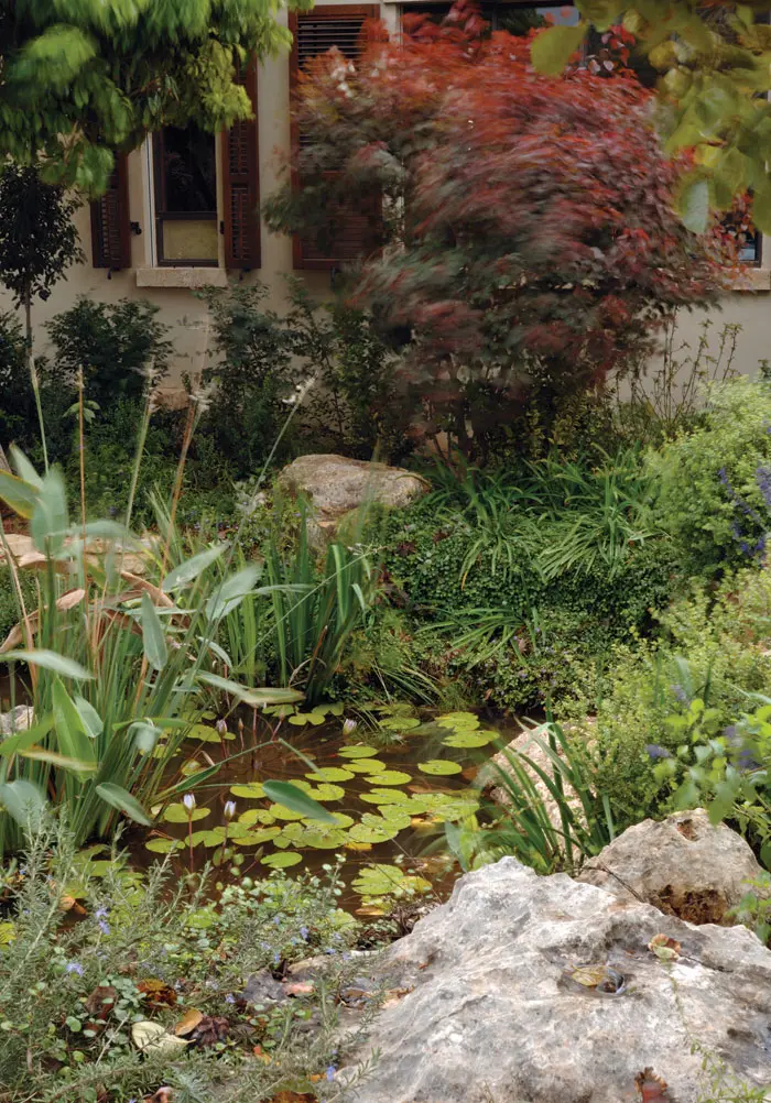 חלק ממהלך הנחל בחלקה הקדמי של הגינה. המים נובעים בשולי השטח המוגבהים, נשפכים המפלים קטנים לסדרת בריכות רדודות