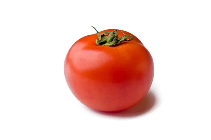 אחראית להתפרצות הסלמונלה