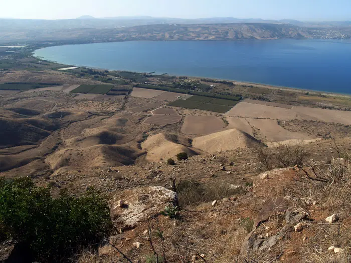 כשראו בני המשפחה של הקשיש שהוא לא מגיע לקו הסיום דיווחו למשטרה