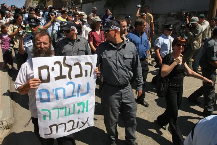 מרזל: "מדובר בחבורת פרובוקטורים שבאו להתסיס"