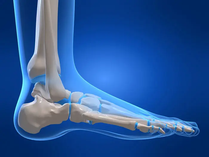 החוקרים השוו בין הטיפולים על ידי מדידת הזווית בה מפרק הרגל התכופף