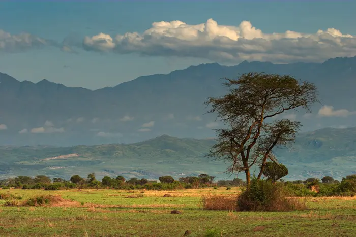 ארץ יפה שמתחילה להתעורר כלכלית. אוגנדה
