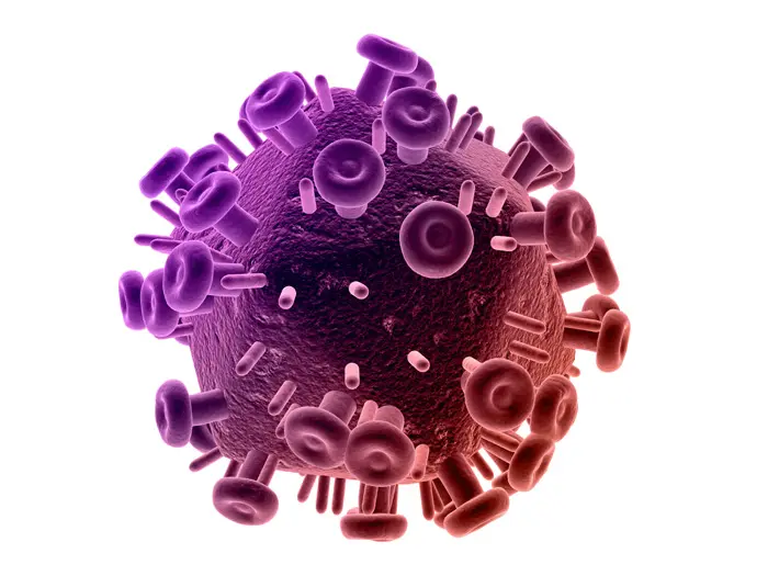נגיפי האיידס מגלים נטייה "להידבק" לתאים שנמצאים בריכוז גבוה במיוחד בעור העורלה