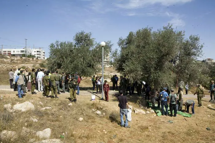 "במקום שלא היה תיאום, היה בלגן"