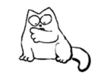 החתול של סיימון - מתוך סרטון יוטיוב