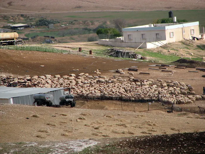 הקריה עתידה לספק כלי שיכום לילדים בעלי הצרכים המיוחדים בנגב 