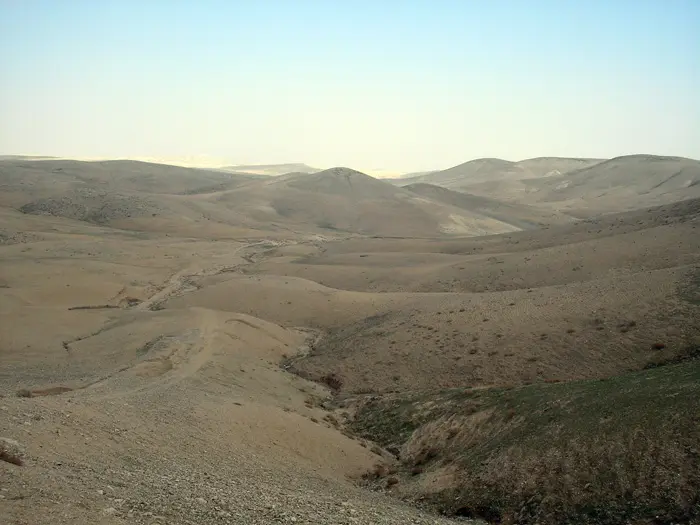 חשוב לשמור על רצף של שמורות טבע גדולות במדבר יהודה ובהר הנגב