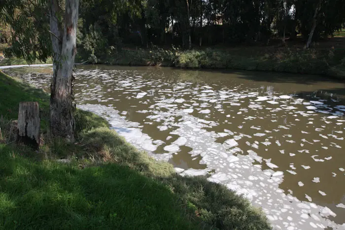 נבדק החשד כי נתוני התחלואה הגבוהים נובעים מהעובדה שהבסיס מוקף במפגעים סביבתיים, בהם בריכות שפכים