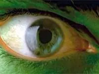 הענק המופלא