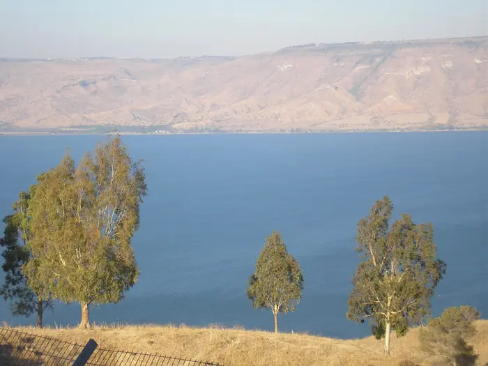 כתב האישום החמור ביותר מייחס לנאשם את עבירת הרעלת המים והדגים בכנרת