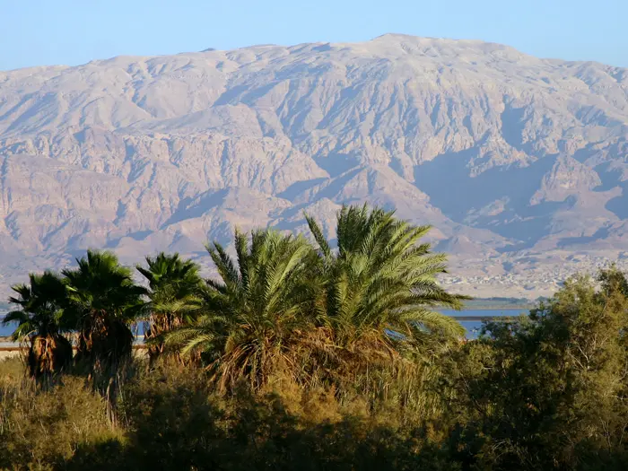 מלחת נאות, בית הגידול של התחמס הנובי