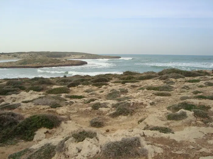 איזו תוכנית תשמר את ערכי הטבע בחוף הבונים?