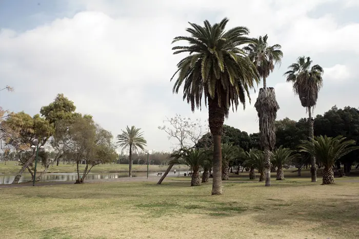 ראש העיר רצה להקים את הפארק באבו כביר אך הרעיון לא מתקבל
