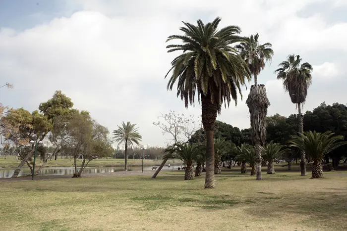 אבידע ליבני  פארק הירקון