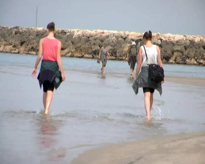 הרחצה תיפתח היום לאחר שבמשך למעלה משלושה שבועות חופי תל אביב והרצליה היו סגורים לרחצה עקב זיהום כבד במים