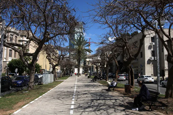 שתיקת הצופרים. שדרות רוטשילד בתל אביב