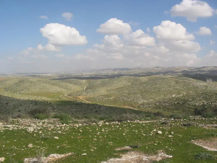 מכירת קרקעות שבעלי הון פרטיים תביא ללחצי פיתוח שהמערכת הרגולטורית לא תוכל לעמוד בהם"