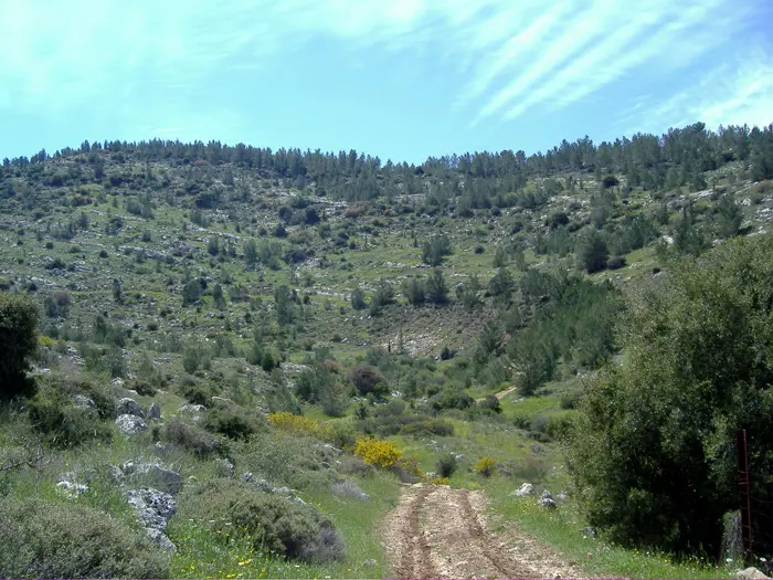 לרכבת ערך סביבתי גדול, שיאבד מערכו אם יפגע בטבע. נחל יתלה