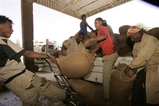 אוגרים סחורה כדי ליצור מחסור ועלייה במחיר - פועלים מעמיסים פולי קפה באתיופיה