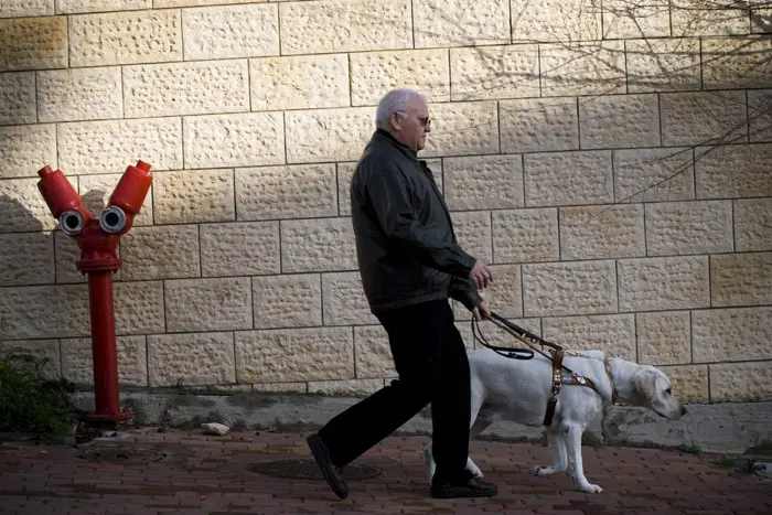 חובב טיולים ארוכים. אריה ואלווין שמידט