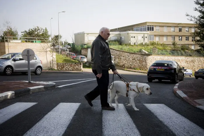 נראה נחמד הבחור. אריה ואלווין