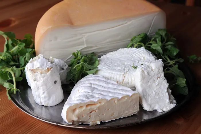 גבינה מסריחה היא לא גבינה מקולקלת
