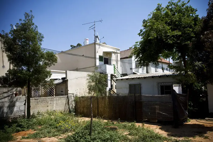 צילומים: ניר לנדאו