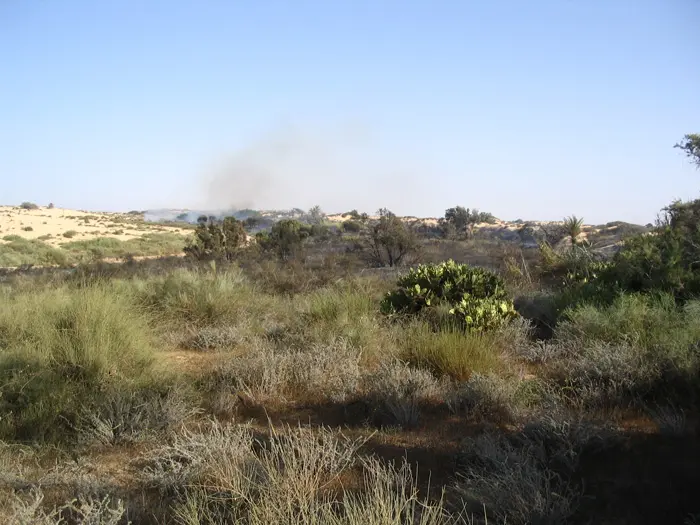 הטרקטורים העמיקו, חדרו לאקוויפר וכל השטח הוצף