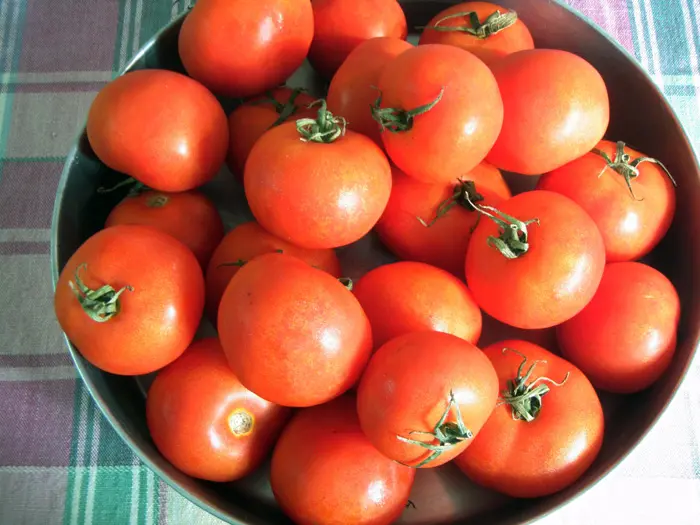 שיאנית פער התיווך. כמעט 150% בין מחיר רכישת עגבניה מהחקלאי למחיר לצרכן
