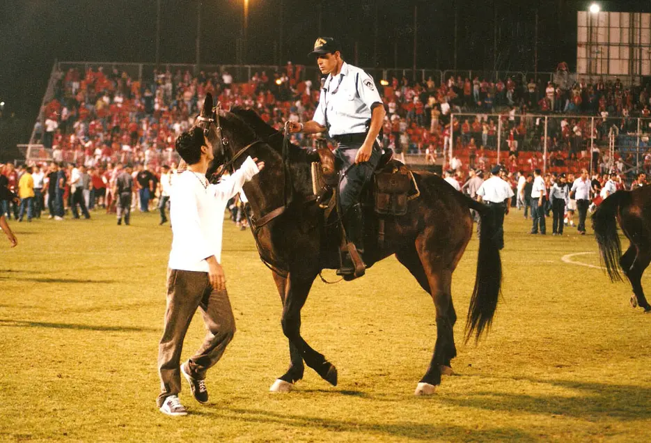 שוטר פרש רוכב על סוס במגרש כדורגל