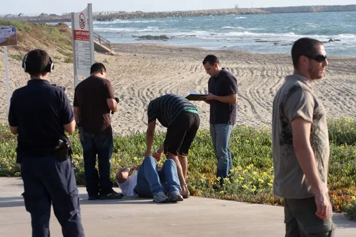 מתאם גבוה בין רמת הורמונים לנטיה לתקיפה