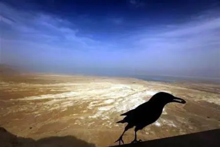 מצדה לגדולים ולקטנים: חוויה מעשירה ומרתקת על במת ההר