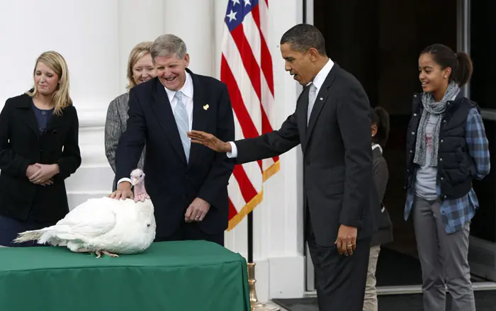 נשיא ארצות הברית ברק אובמה מעניק חנינה לתרנגול הודו