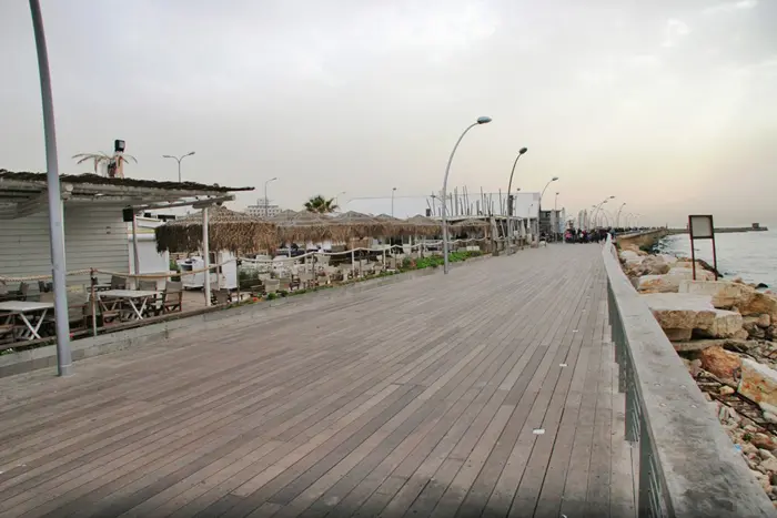 "לוקחים את נמל תל אביב ובונים שם האנגרים, שאפשר להקים גם באזורי תעשייה"