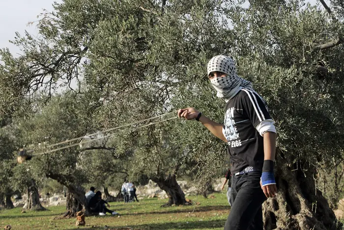 "המשטרה מנסה להוריד את שיעור הפשיעה האלימה בקרב ערביי ישראל"