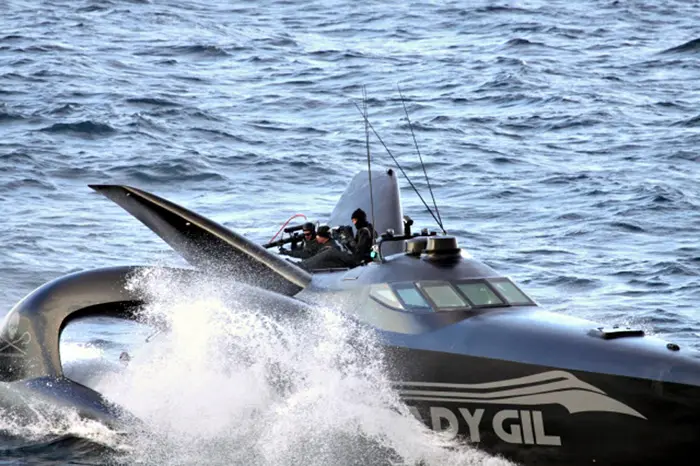 ספינת הפעילים בזמן מאבק עם ציידי לוויתנים