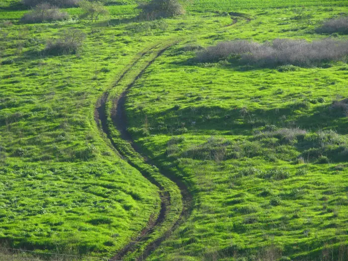 צילומים: קובי ליאני